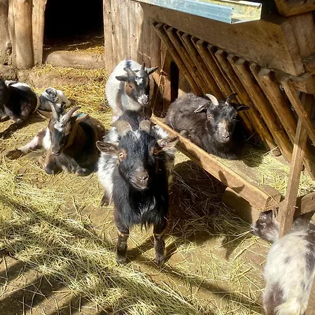 Na Farme *