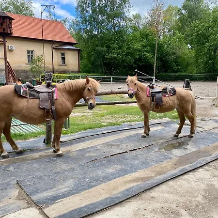 Na Farme * Kladruby (Tachov)